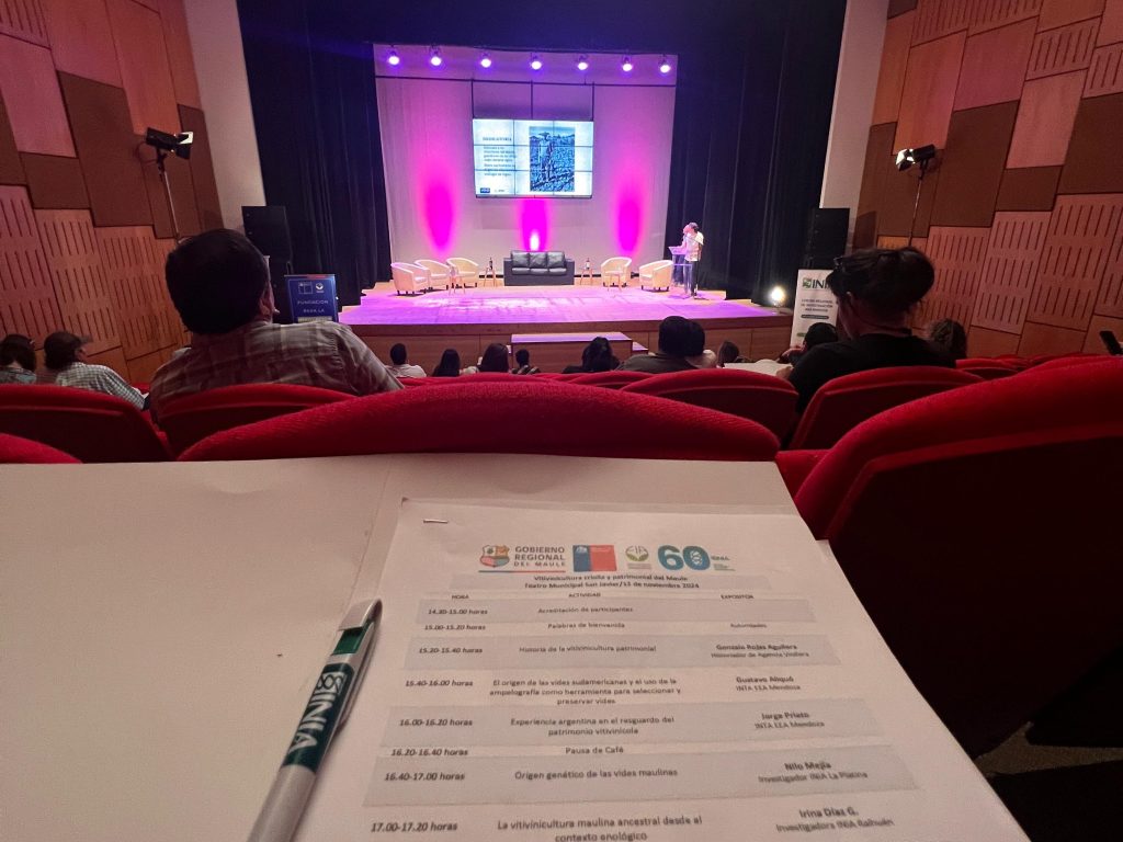 WhatsApp Image 2025-02-20 at 17.19.43