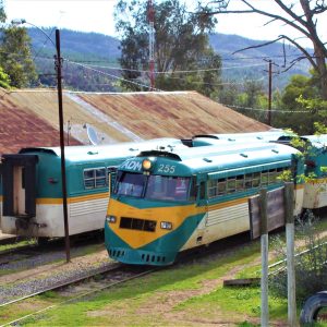 44195438315_5461cd009e_h