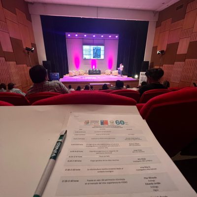 WhatsApp Image 2025-02-20 at 17.19.43