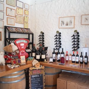 WhatsApp Image 2025-04-23 at 18.45.31 (1)