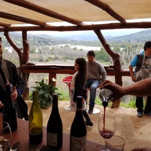 vina-gonzalez-bastias